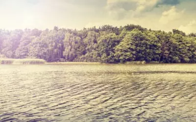 peaceful nature therapy Vintage photo of a peaceful, beautiful nature scene with river and trees.