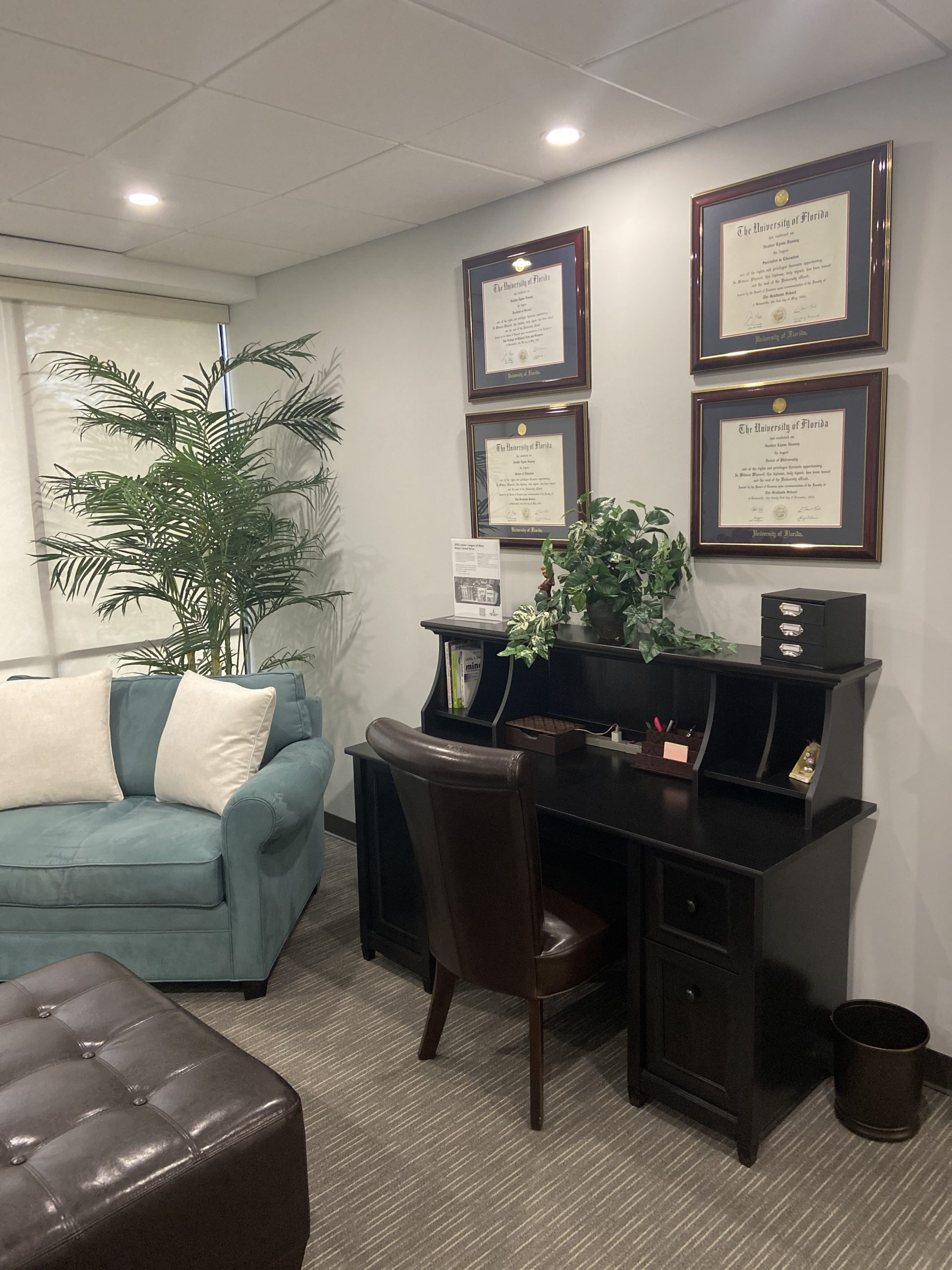 Mental health, therapy, and counseling services