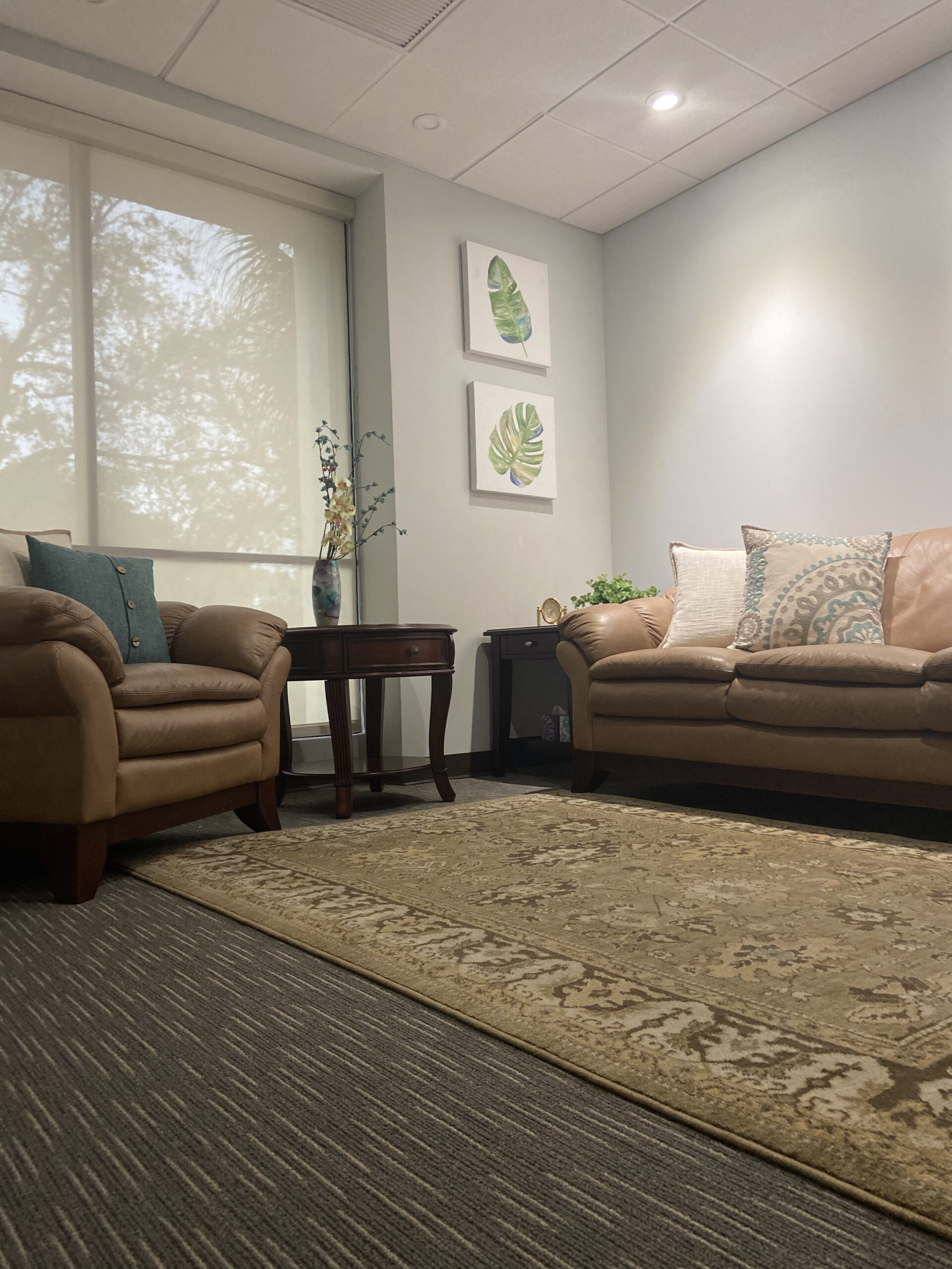 Mental health, therapy, and counseling services